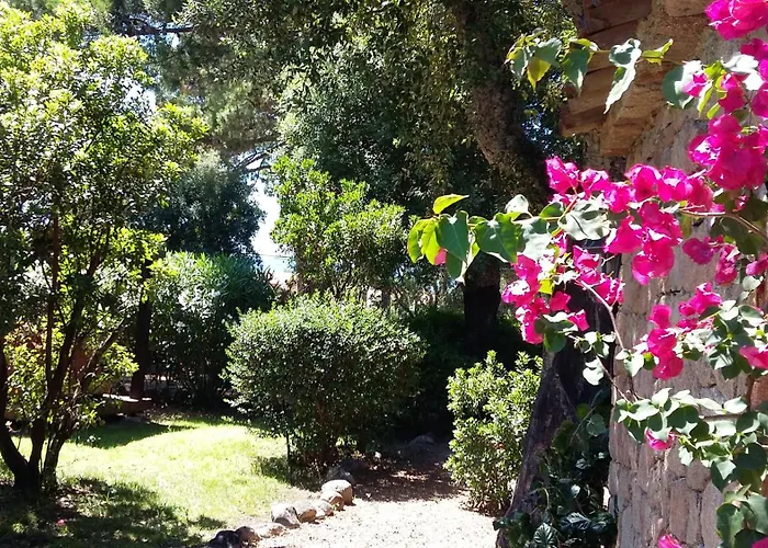 Machja-piscine Privée-plage à Pieds- San Ciprianu Сasa de vacaciones