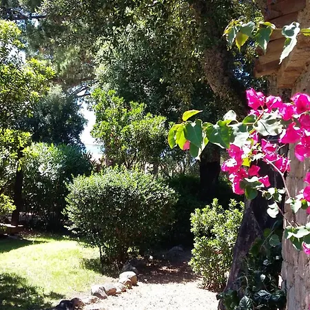 Machja-piscine Privee-plage A Pieds- San Ciprianu Holiday home